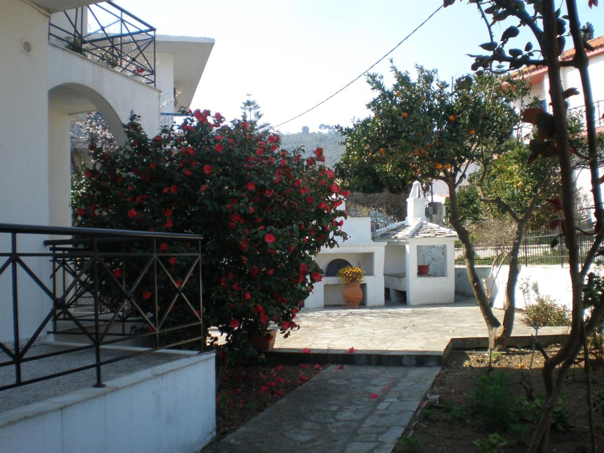 Karagiozos Studios & Apartments Skopelos Town Exterior foto